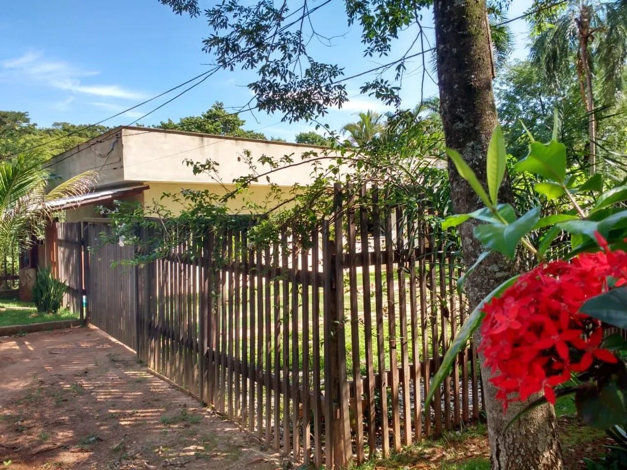 Chácara / Fazenda - Foto 5