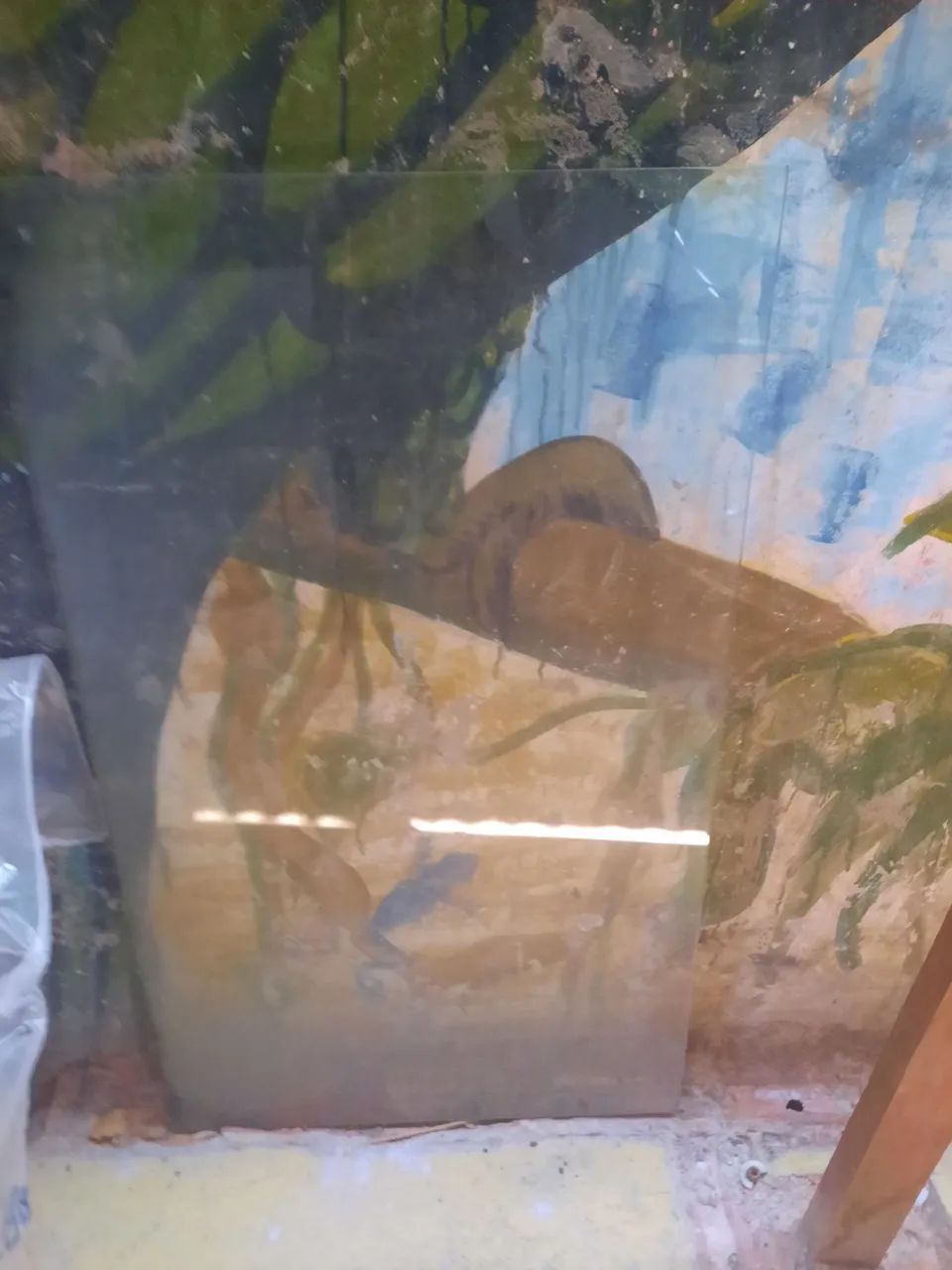 Vende-se vibro tempero para sair logo  - Foto 4