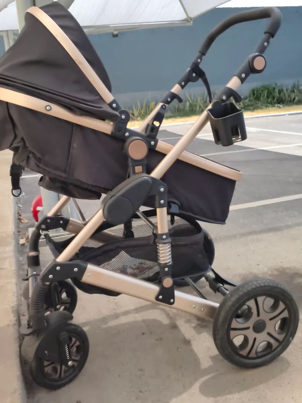 Carrinho de bebê modelo Moisés 