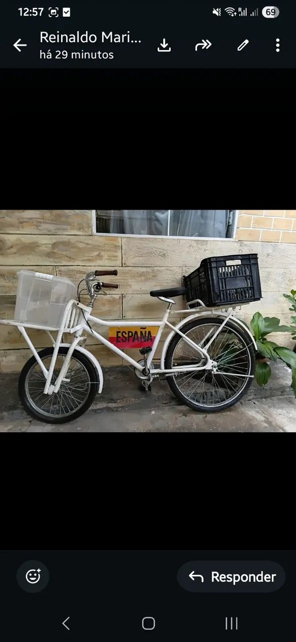 Bicicleta Cargueira 