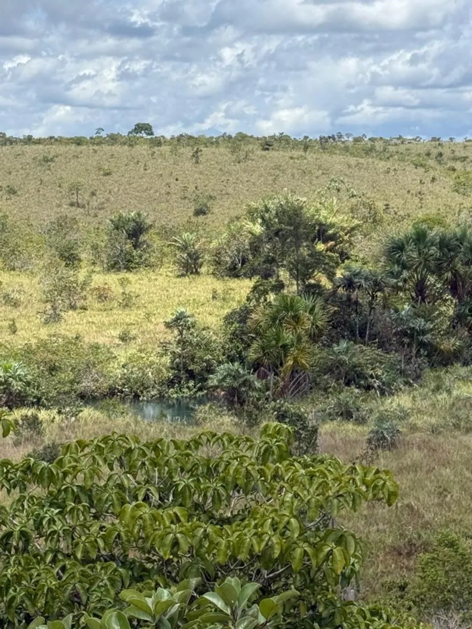 Vendo Sítio á 35 km de Santana na localidade Maçaranduba II - Foto 6