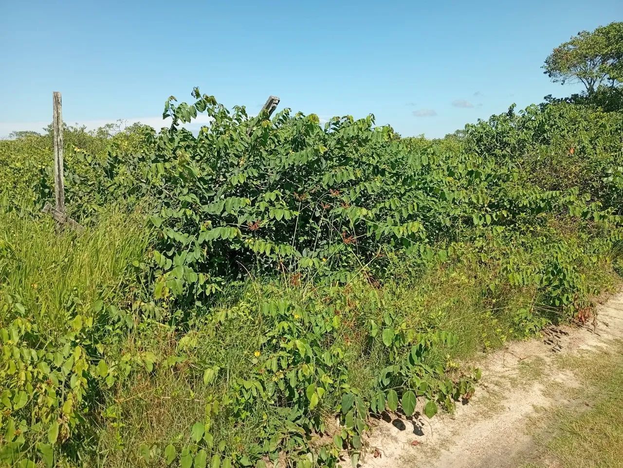 Terreno na praia  - Foto 2