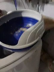 Caixinha de area para gato ?  - Foto 2