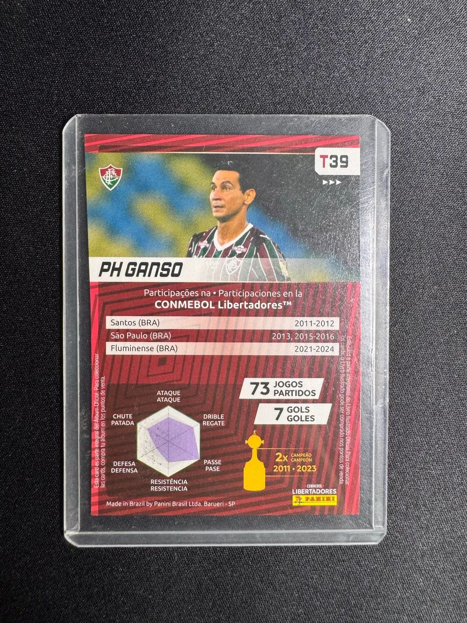 Card Libertadores - PH GANSO - Foto 2
