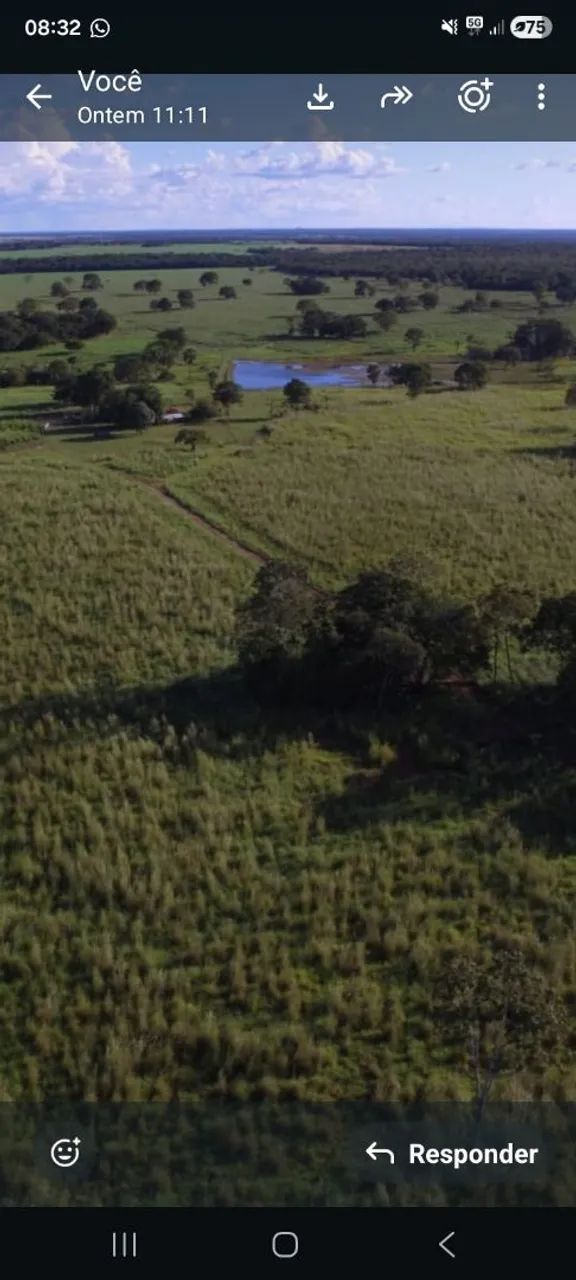 Fazenda 62alq. Em Figueiropolis To