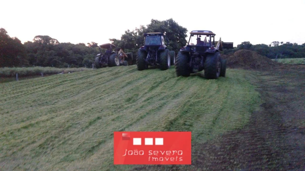 Fazenda para Venda em Sandolândia - Foto 5