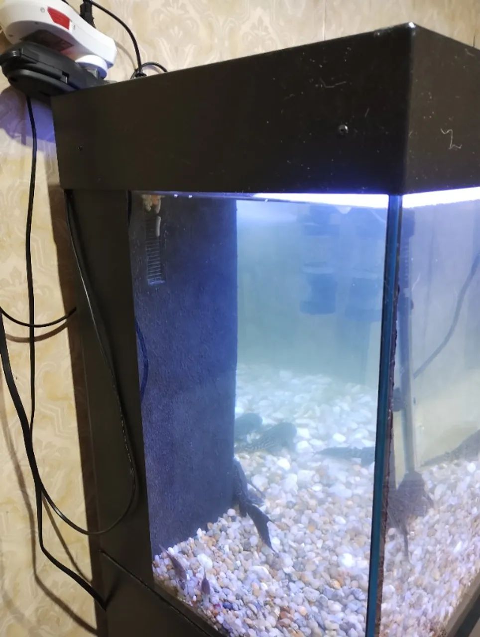 Aquário marca H2BOX com samp interno - Foto 5