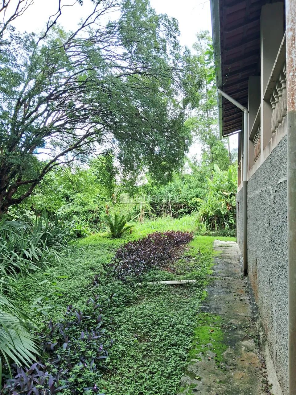 Uma bela chácara - Foto 4