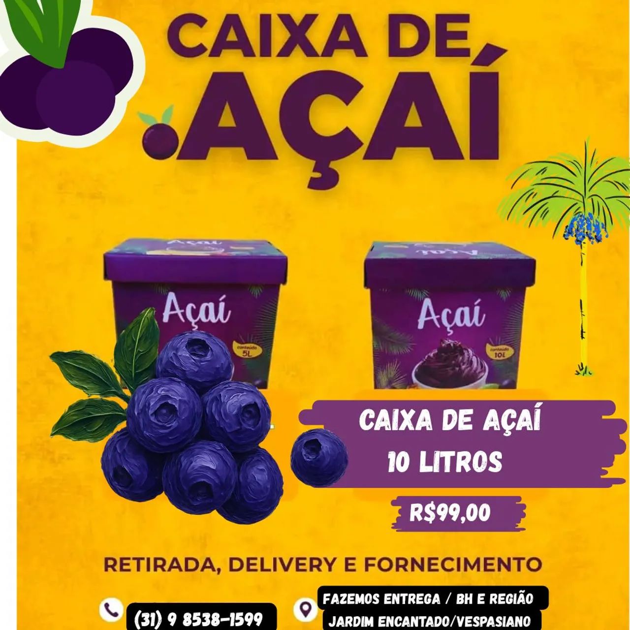 Acai 10 litros direto da fábrica 