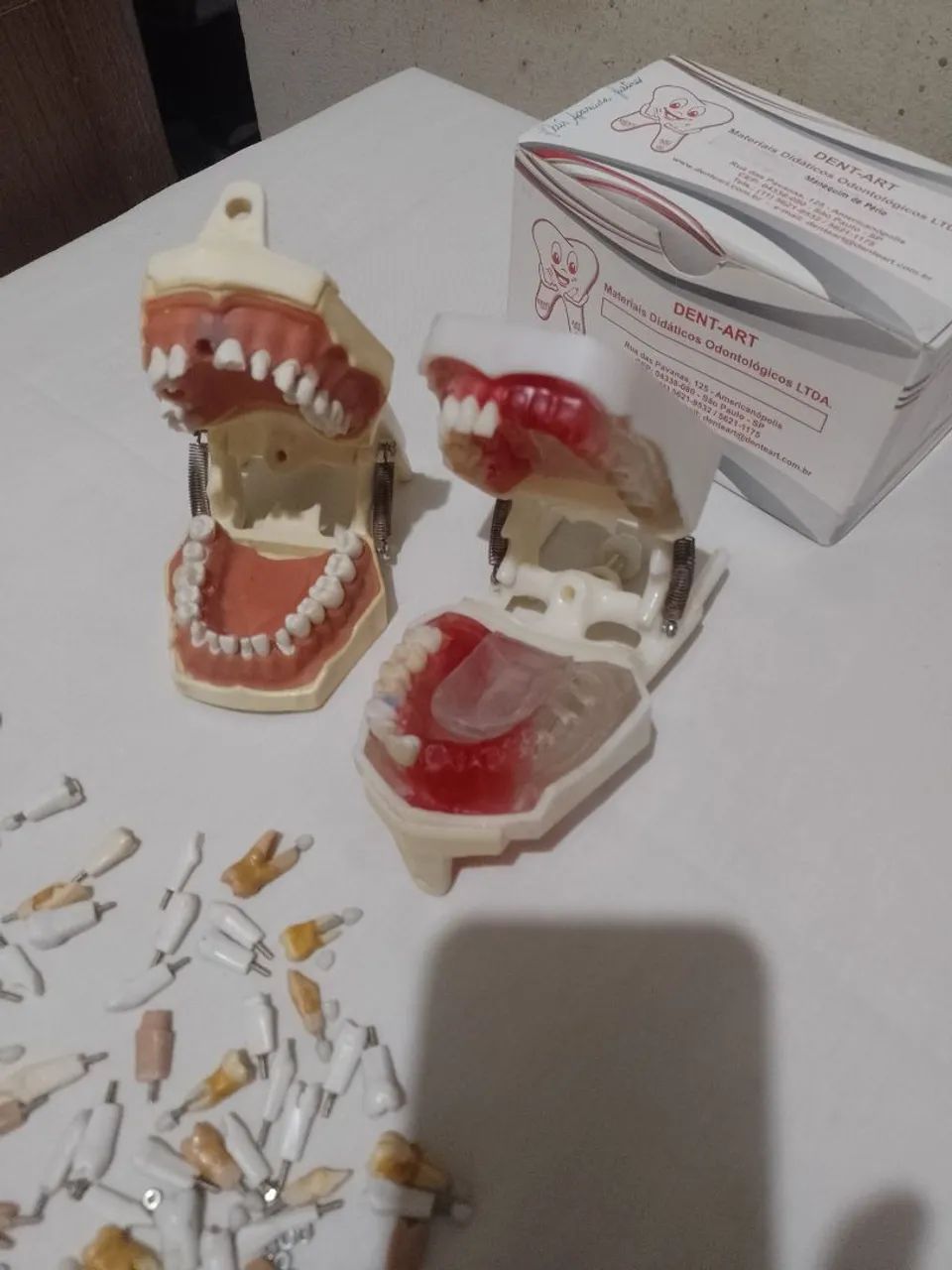 Kit de manequim odontológico  - Foto 3