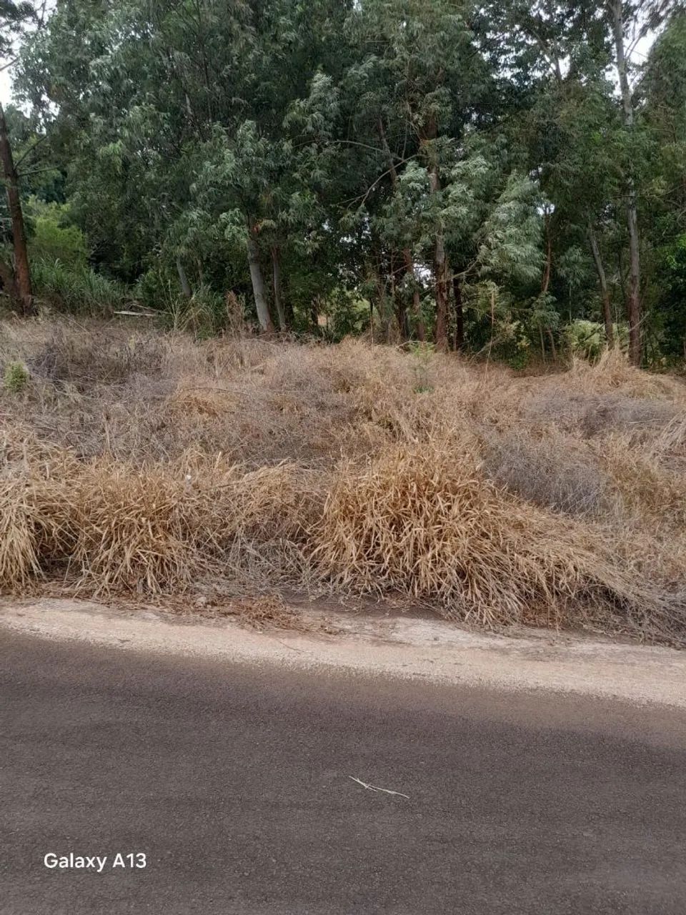 Terreno  - Foto 2