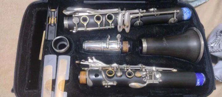 Clarinete Shelter - Usado