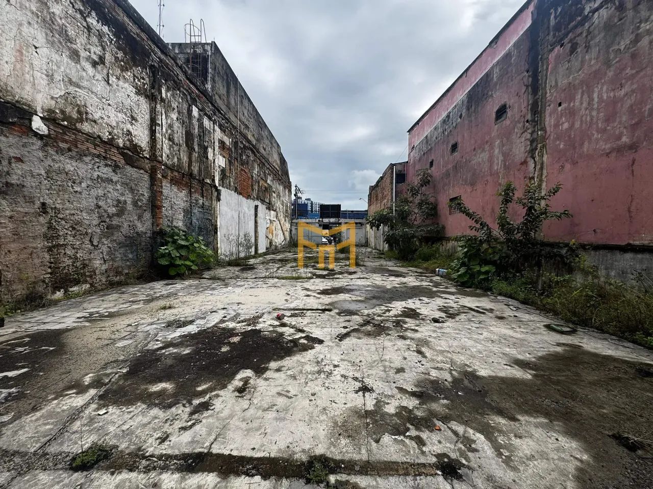 Imóvel Comercial, Locação, São Brás, Belém, PA