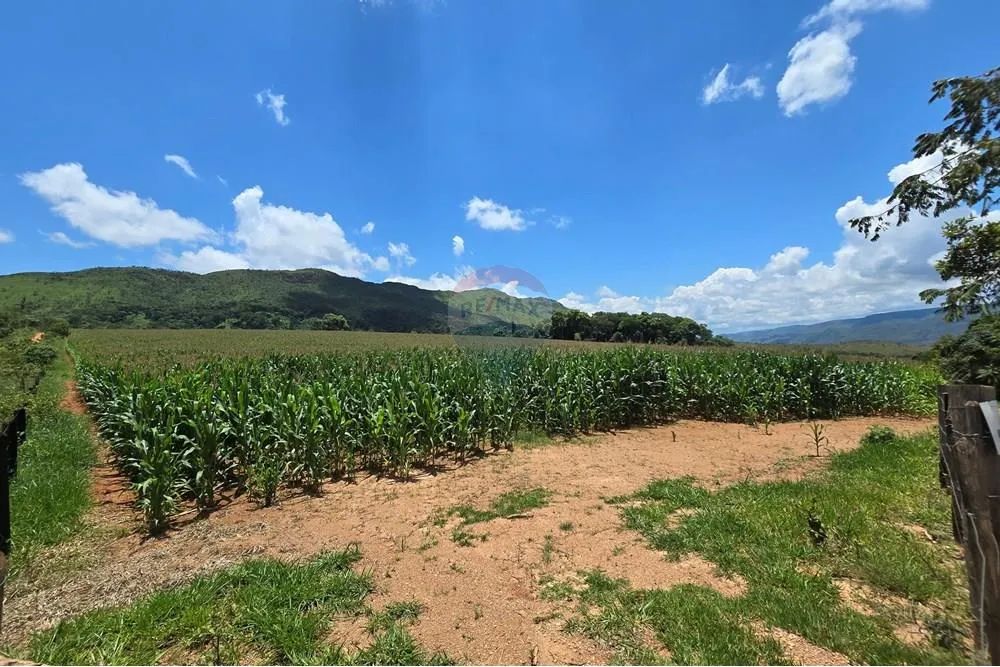 Sitio com 45 hectares na Serra da Canastra - Delfinópolis MG - Foto 5