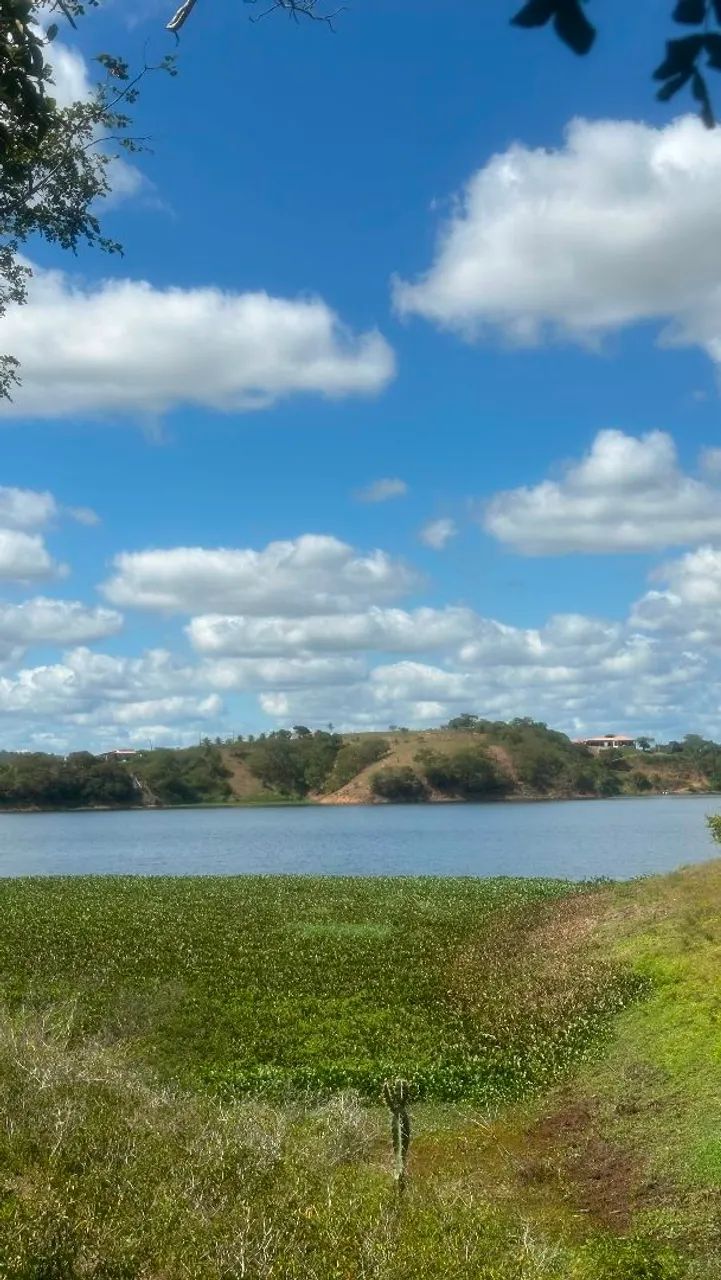 terrenos - Foto 3