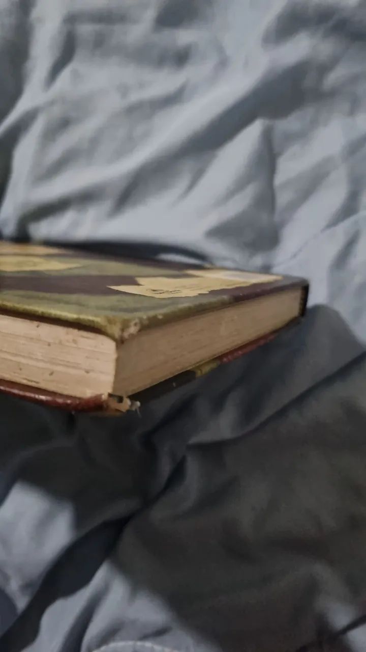 Livro de gravity falls  - Foto 5