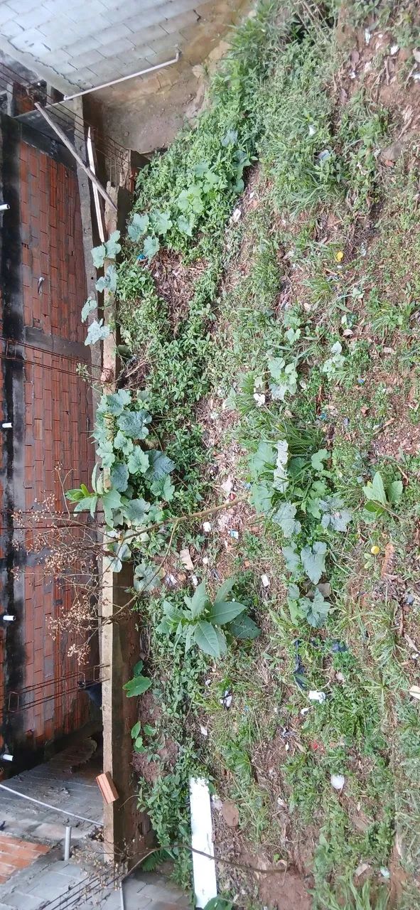 TERRENO A VENDA - Foto 2
