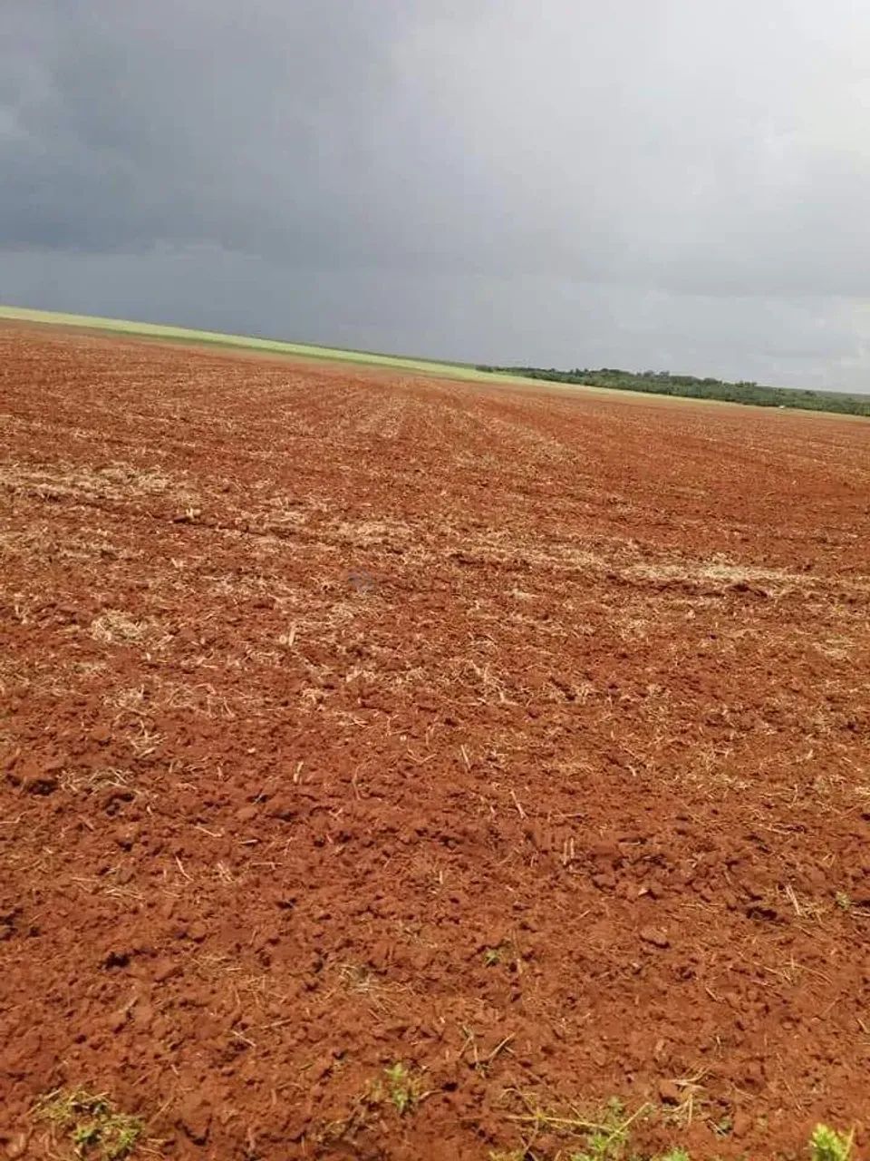 Fazenda Nova Mutum - Foto 3
