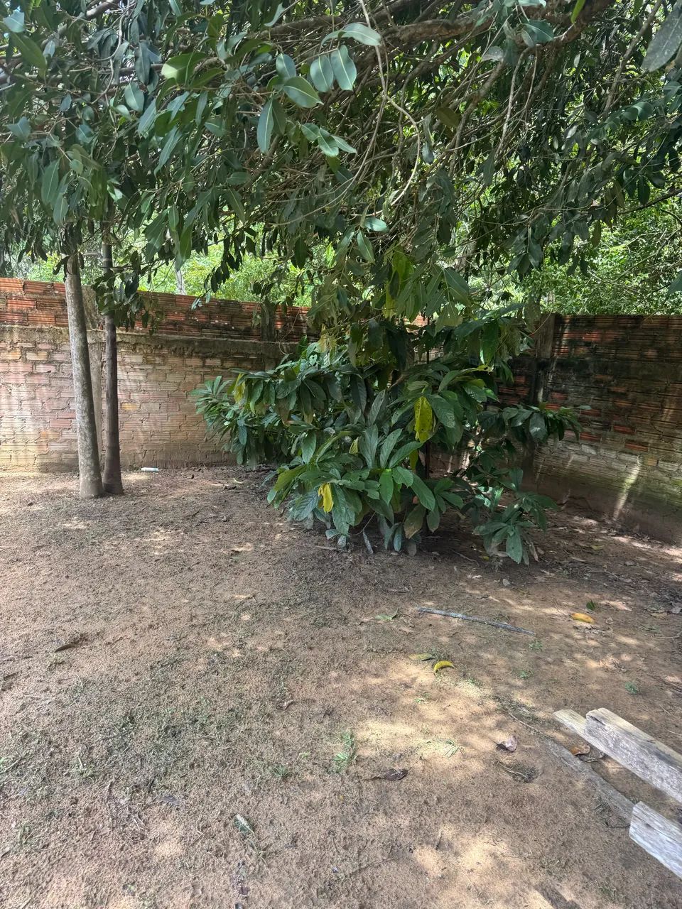 Terreno preço imperdível ! - Foto 2