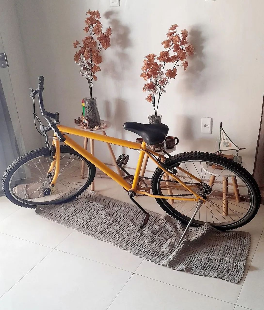 Bicicleta