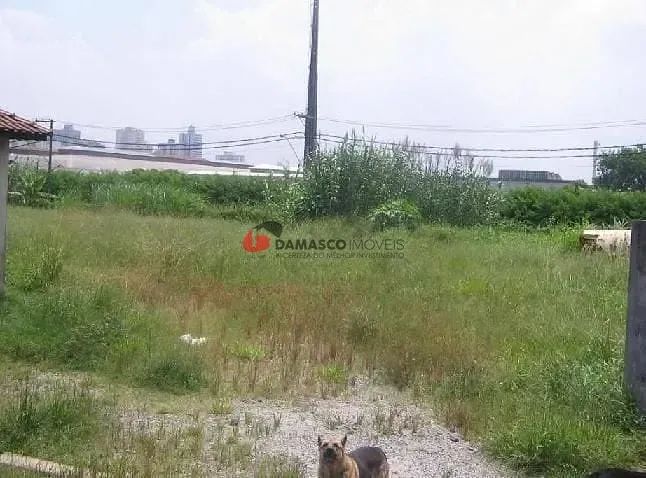 Terreno Residencial em Parque Central - Foto 2