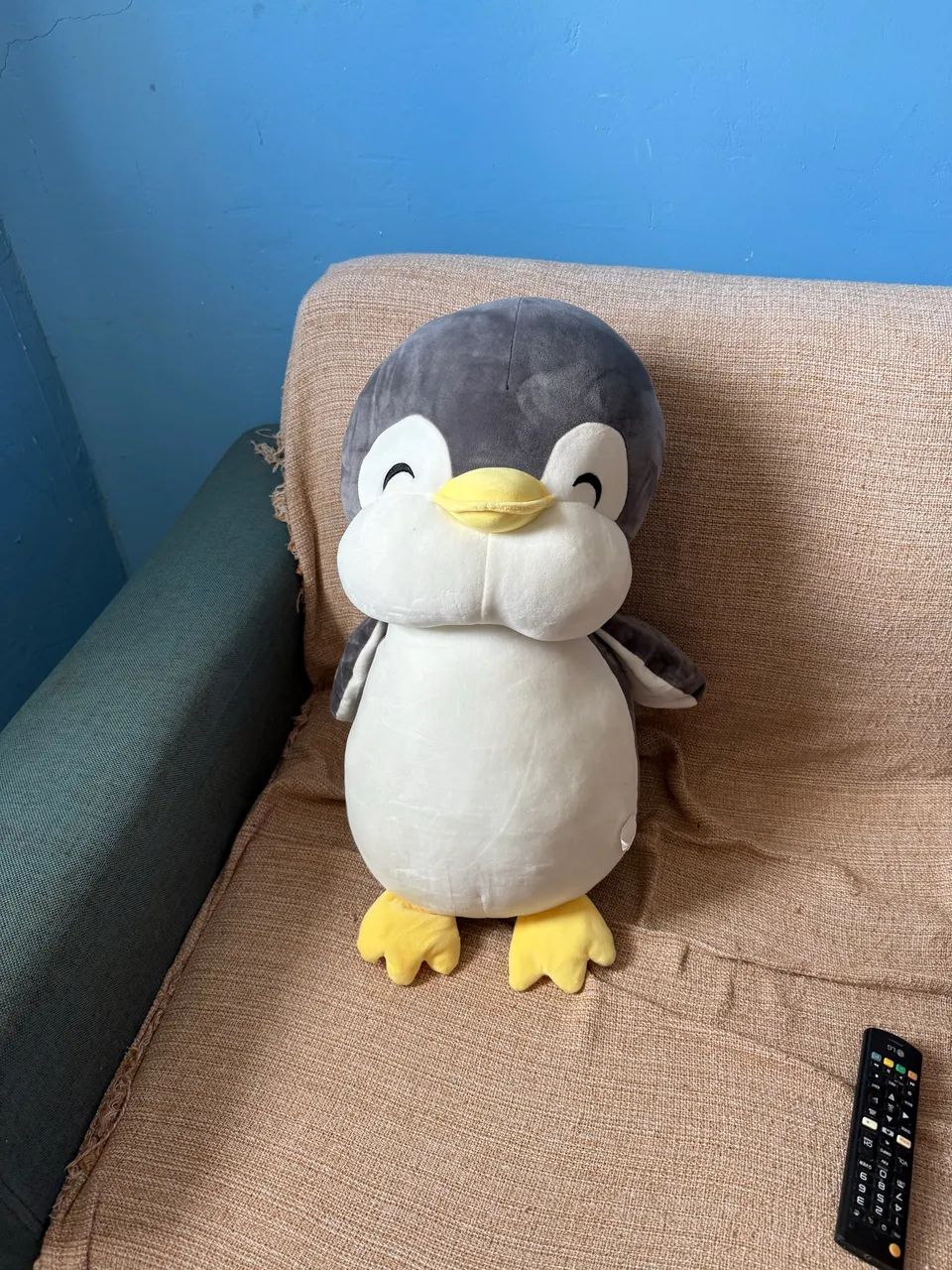 Pelúcia 