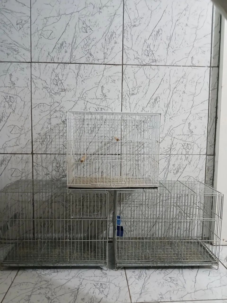 3 gaiolas de aço, 2 inteiriças e 1 desmontável. Para periquitos/canários.