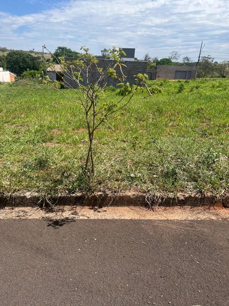 Vendo terreno  de 250m2 no bairro parque dos ipês ll  - Foto 2