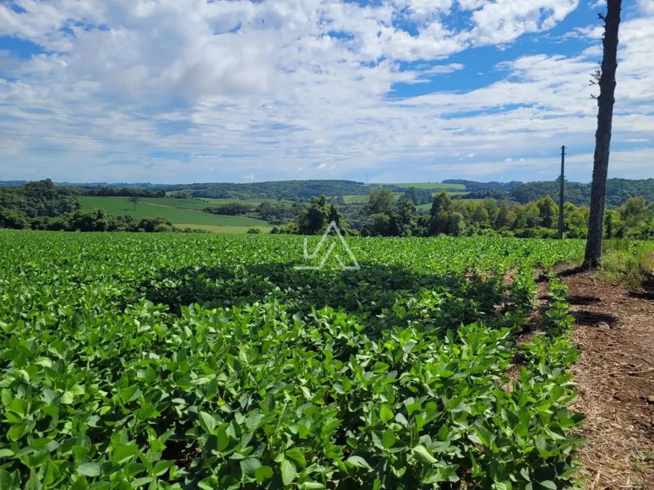 AREA SÃO BRAZ - Foto 2