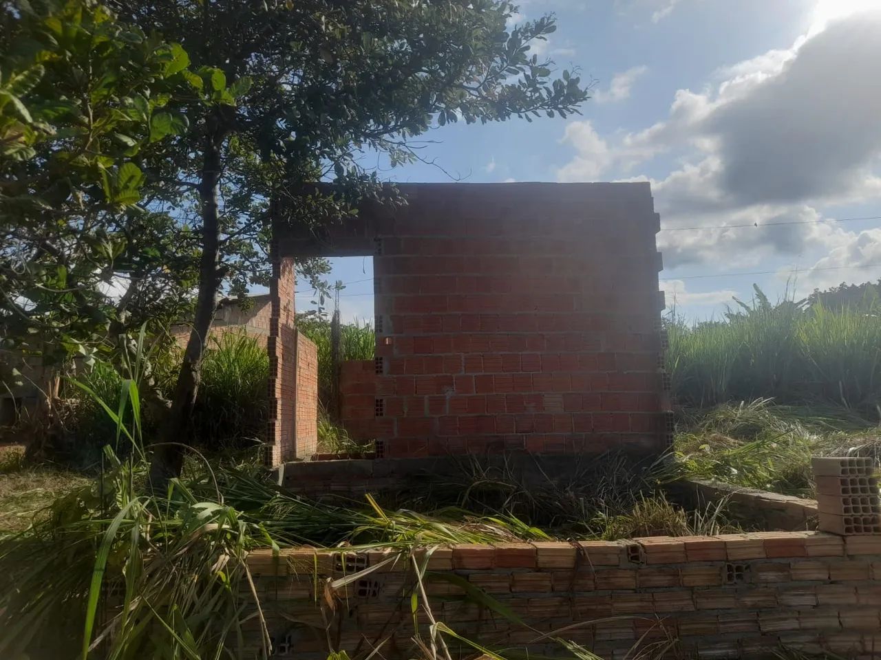 Vende-se  uma mini chácara  - Foto 4