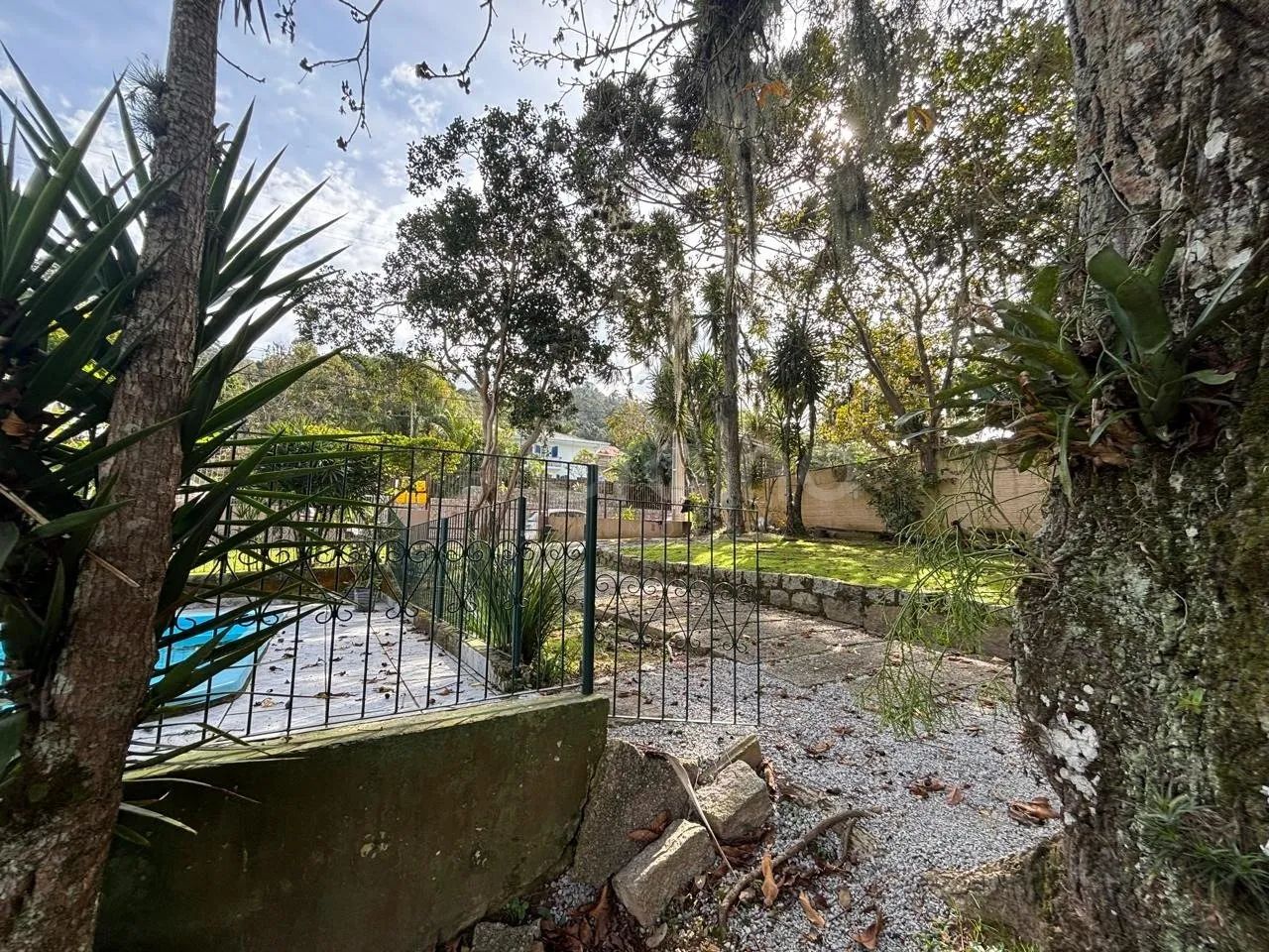 Terreno com 817m² no bairro Trindade, Florianópolis - Foto 3