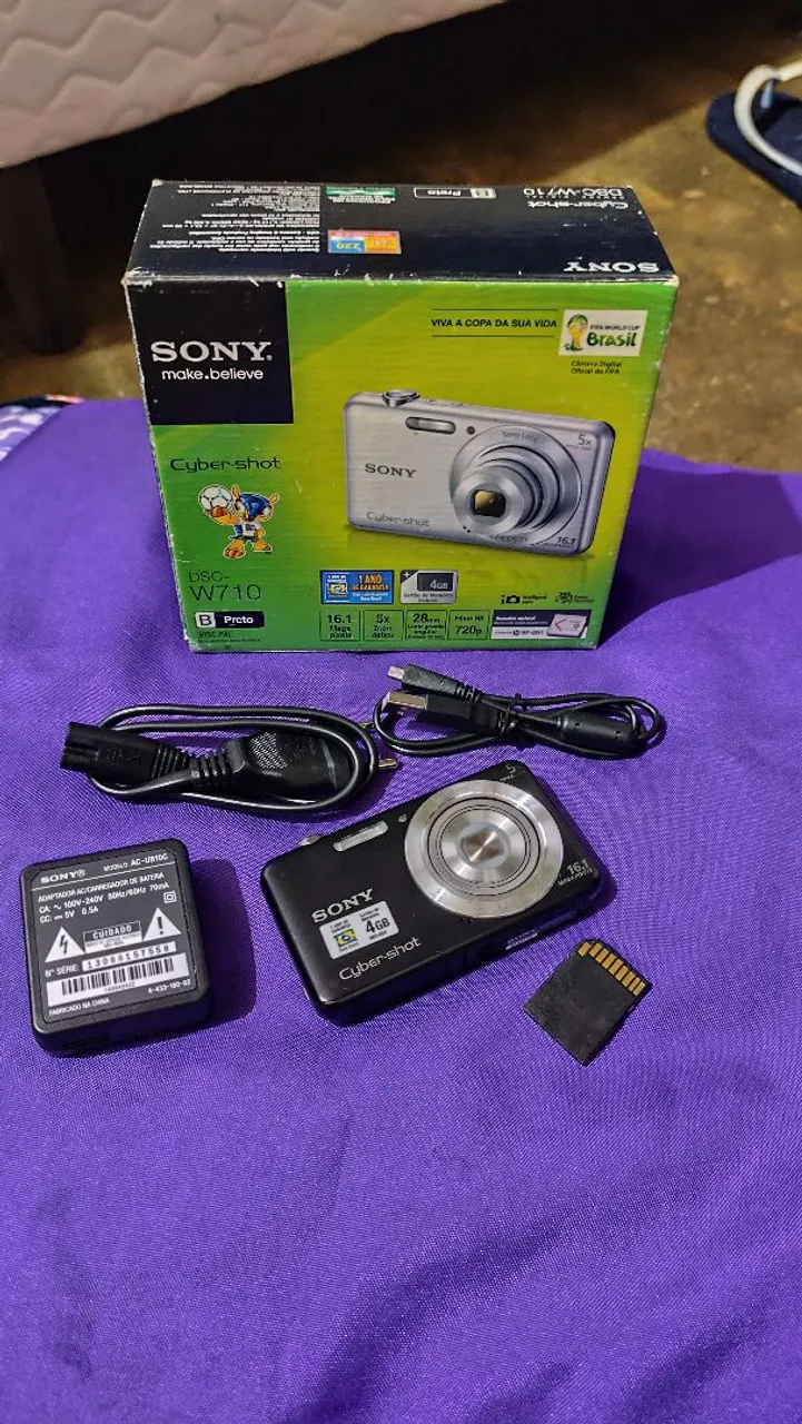 sony dsc hx300