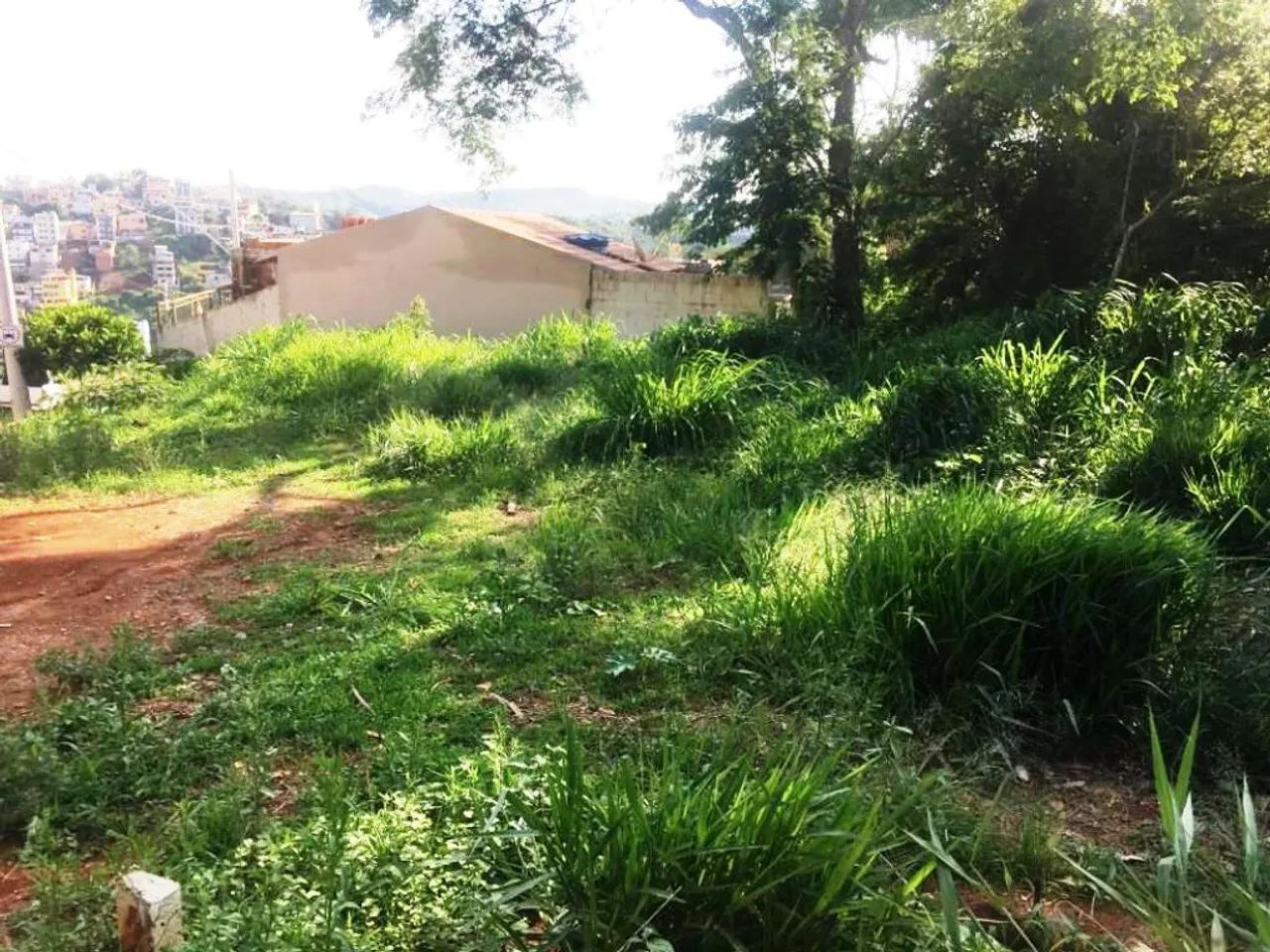 Lote 210,71 m² no Santo Antônio - Foto 5