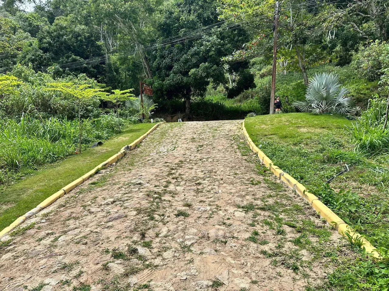 Lotes De 10X30 Na Serra De Pacoti, As Margens Da Ce 065, 3 Minutos Do Centro! Cód. KT58SI