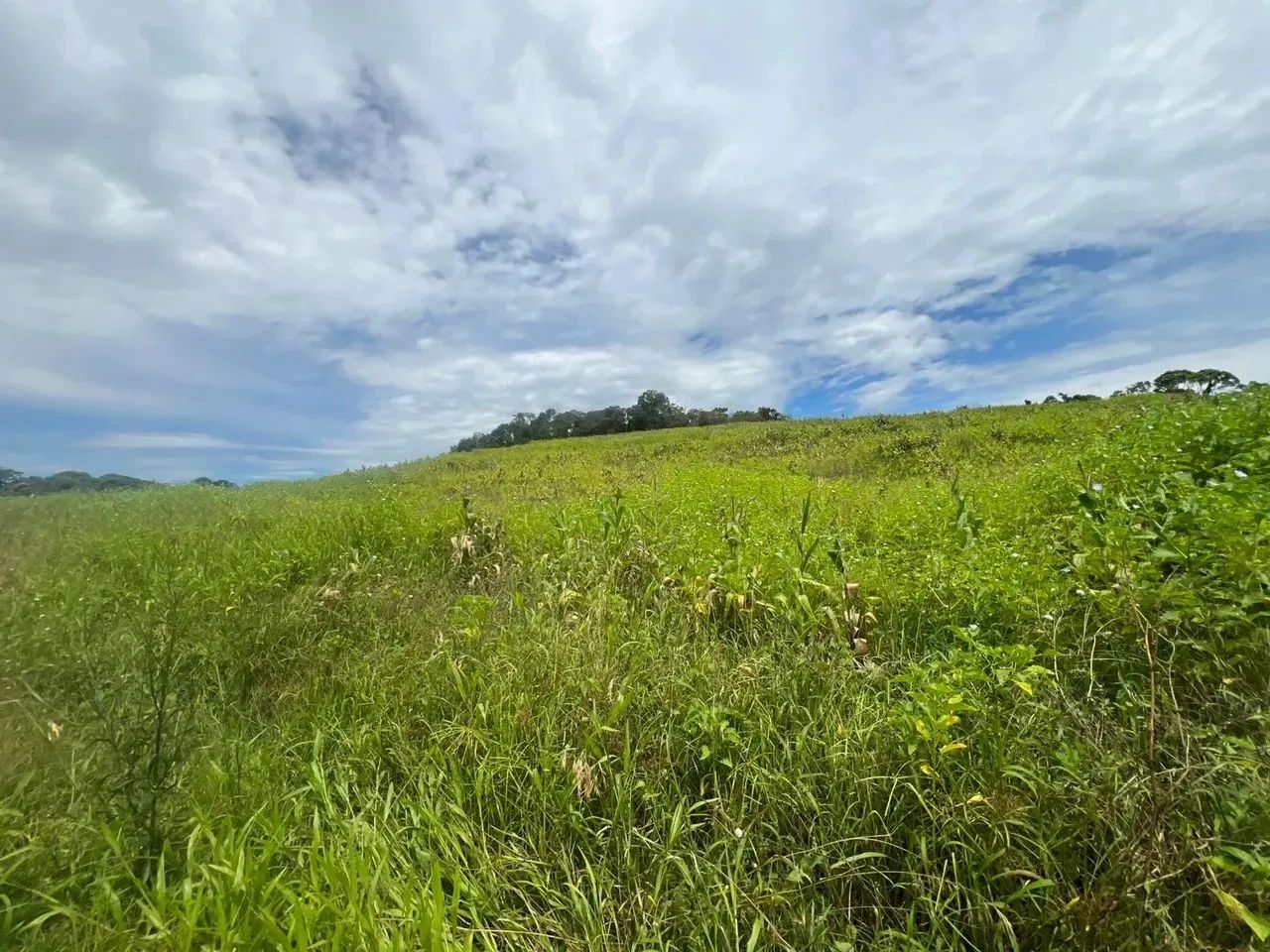 Terrenos para venda tem 1000 metros quadrados em Colégio - Ibiúna - SP - Foto 6