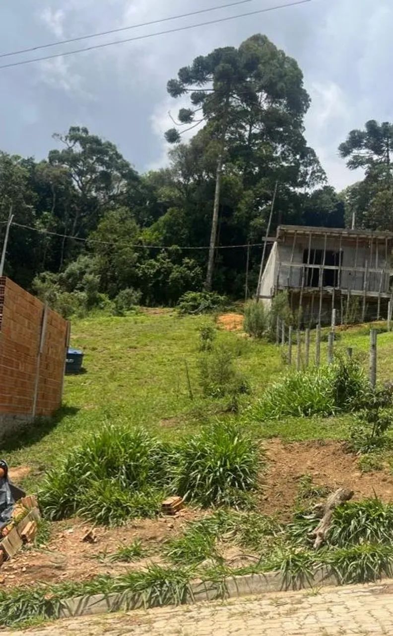 Foto - Camanducaia - Monte Verde