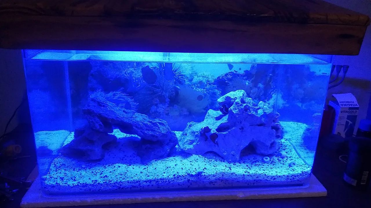 Aquário completo