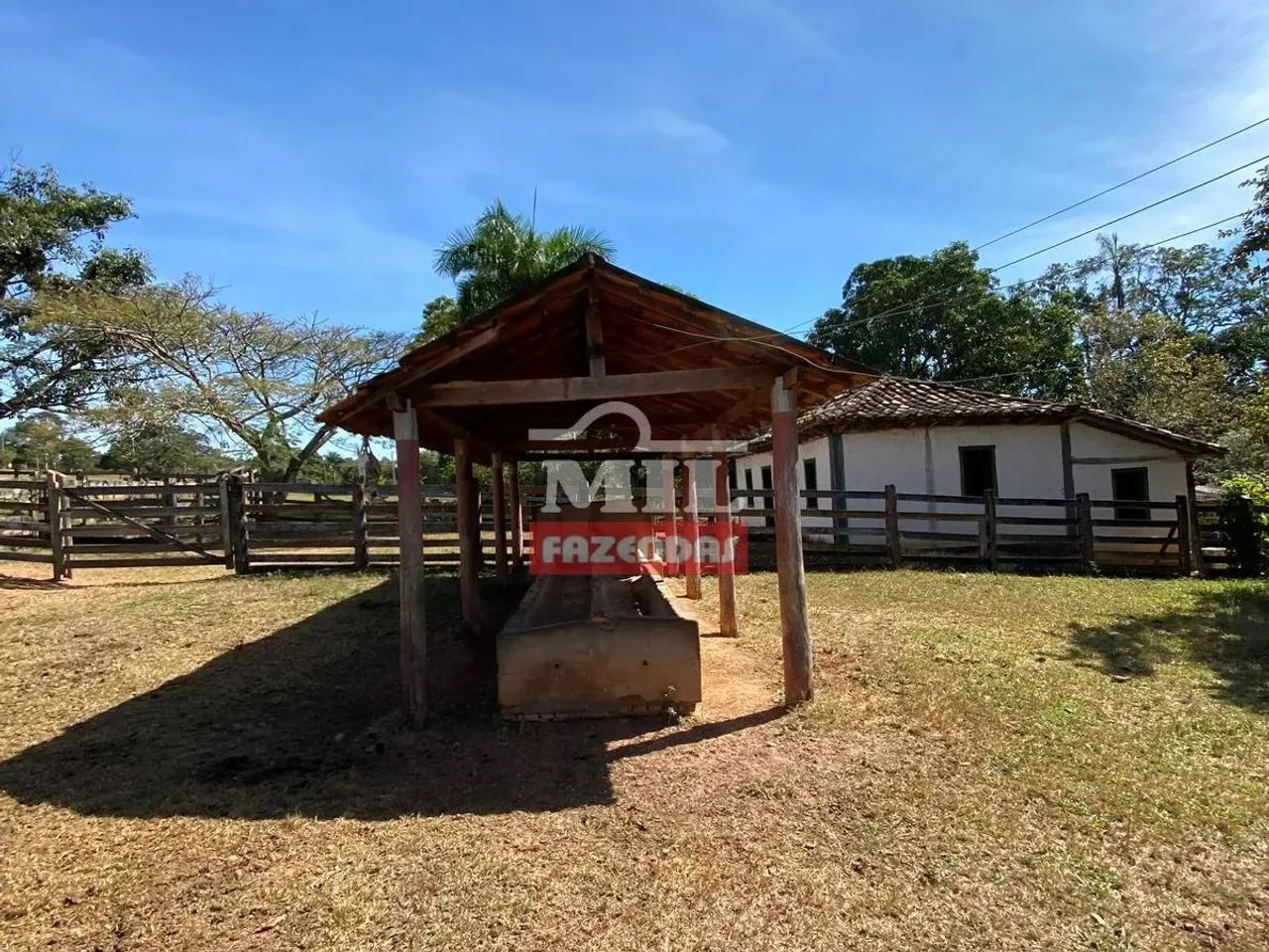 Fazenda em Ipameri 45,3 Alqueires (219 Hectares) - Foto 4