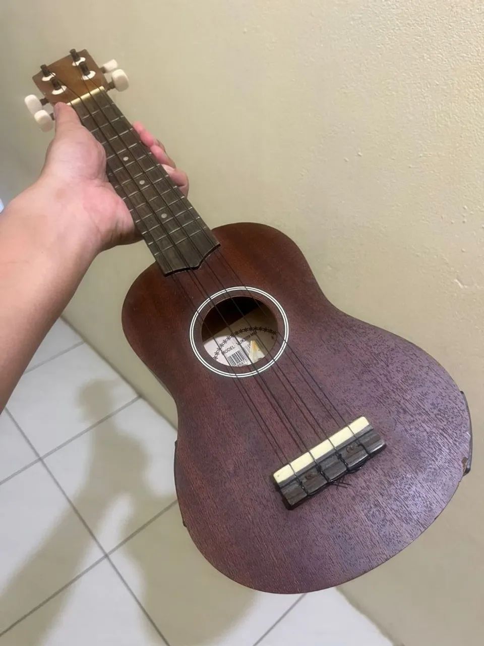 Ukulele 