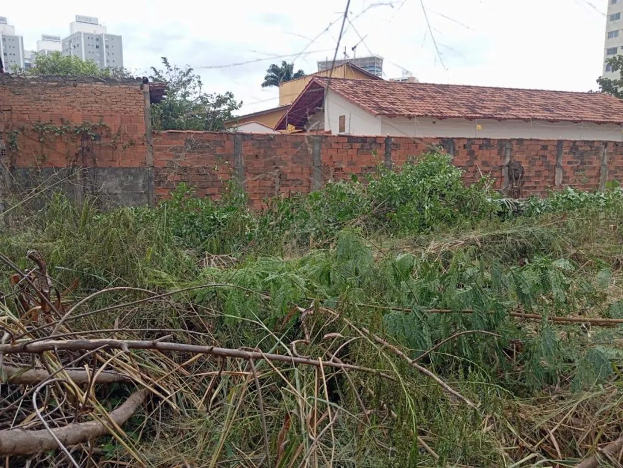 Lote - Parque Amazônia - Foto 3