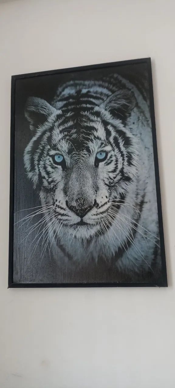 Quadro 