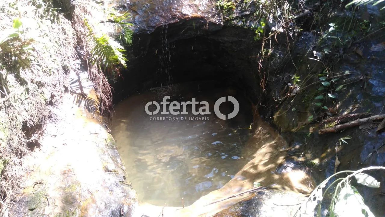 Chácara/Terreno na Lapa - Foto 3
