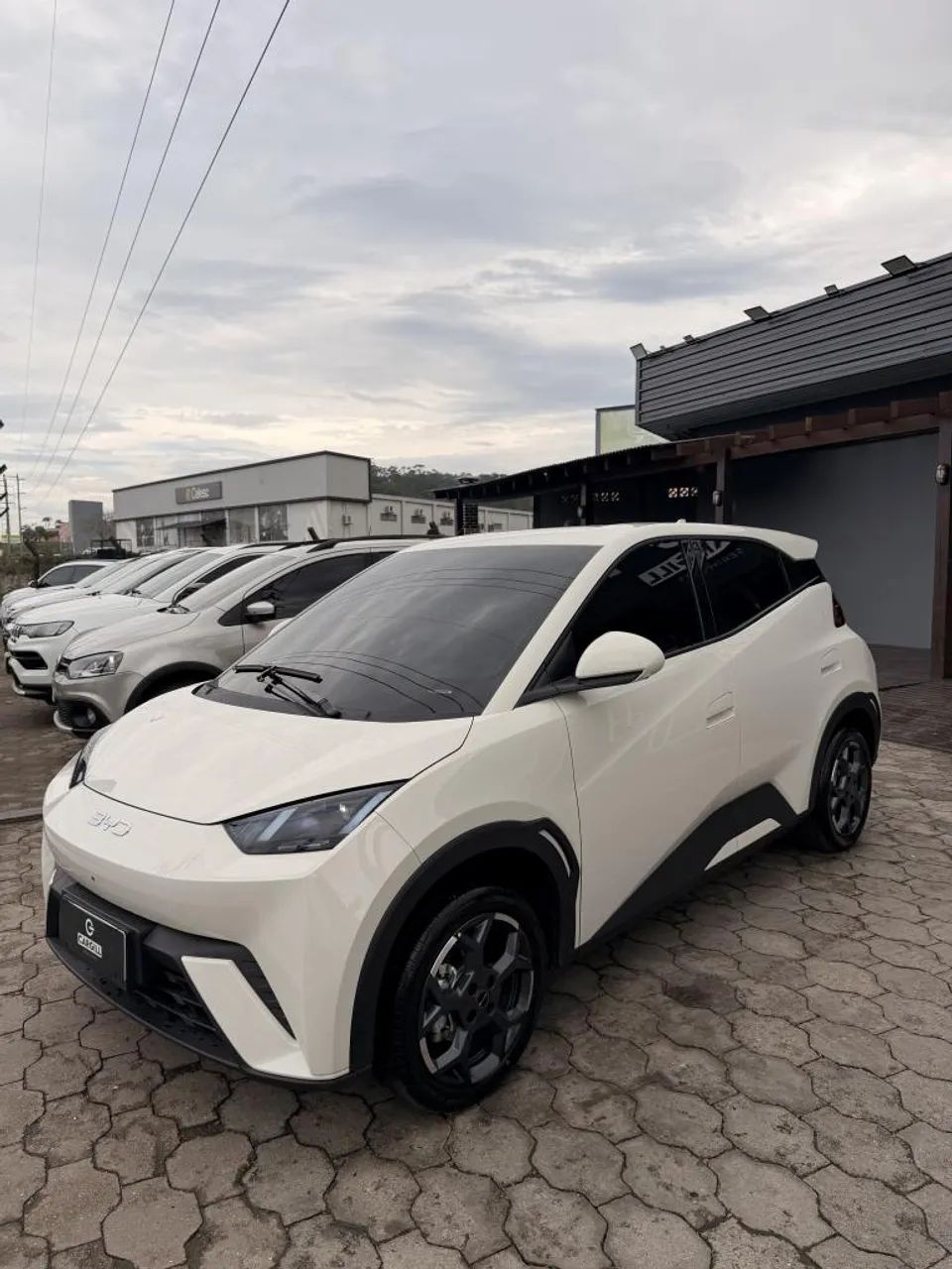 BYD Dolphin Mini (Elétrico) 2027 - Foto 2