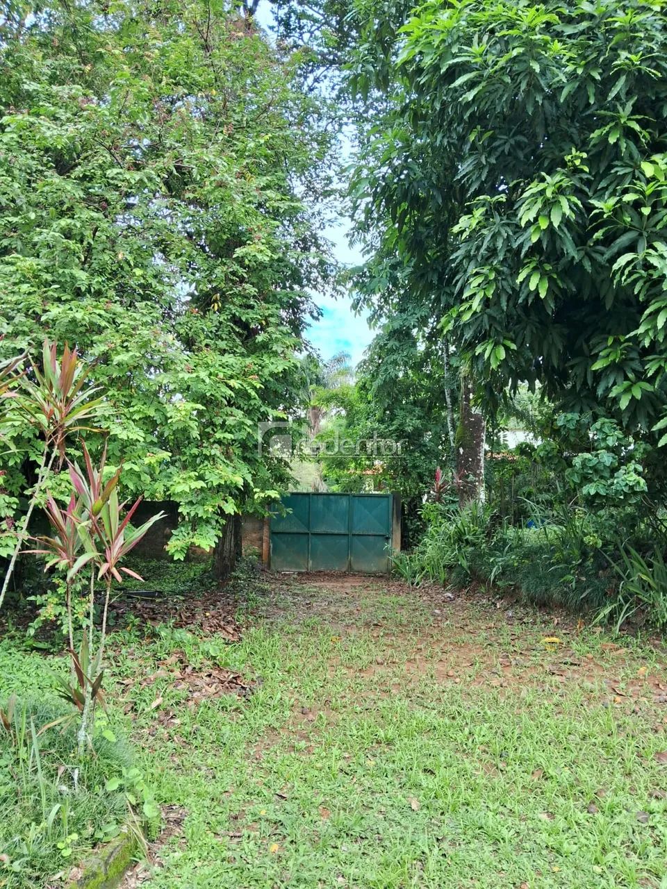 Uma bela chácara - Foto 3
