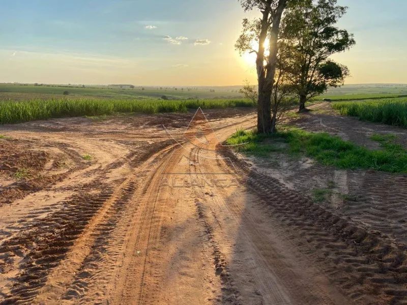 Fazenda - Echaporã - Zona Rural