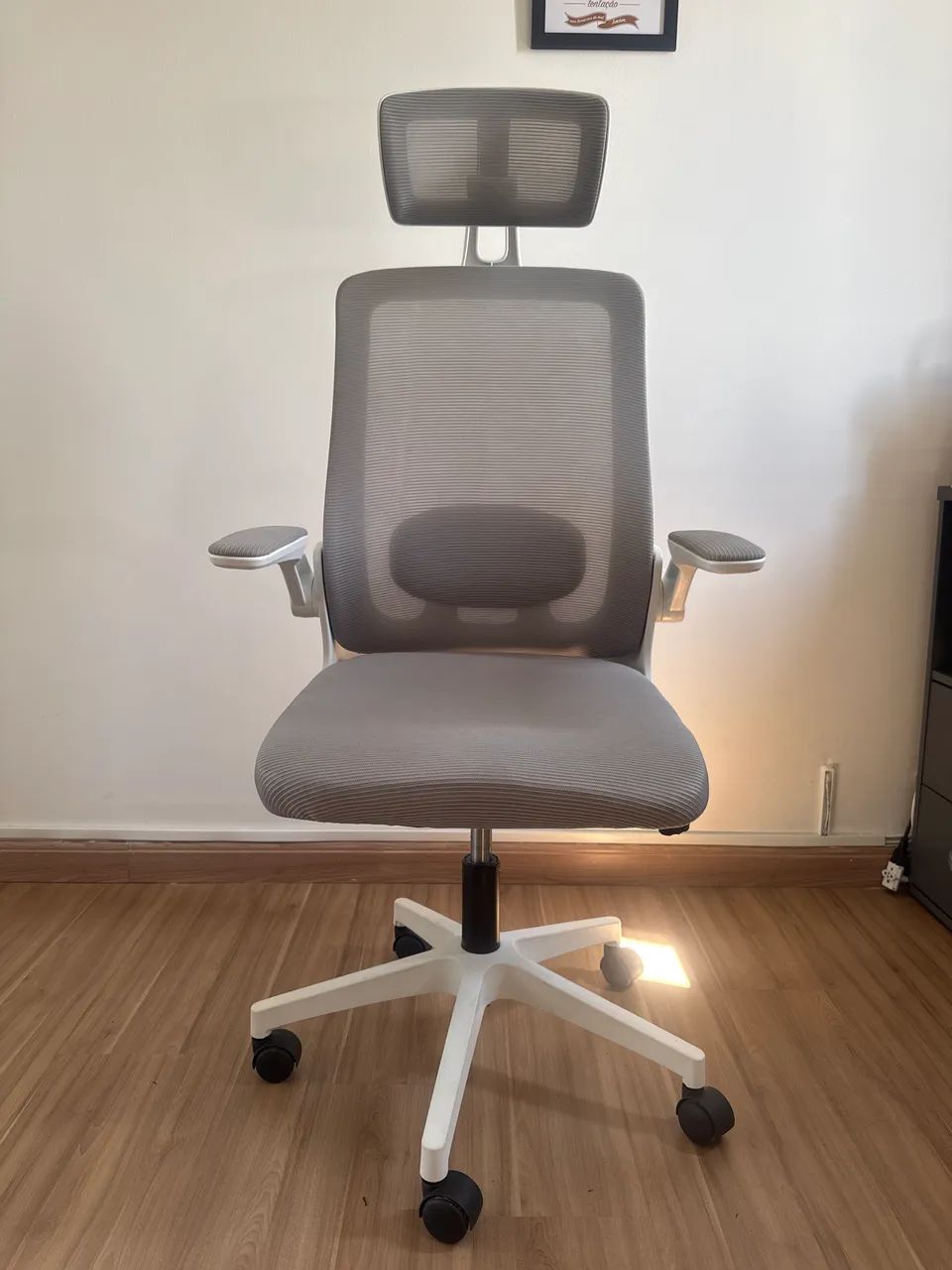 Cadeira de Escritório Executiva 