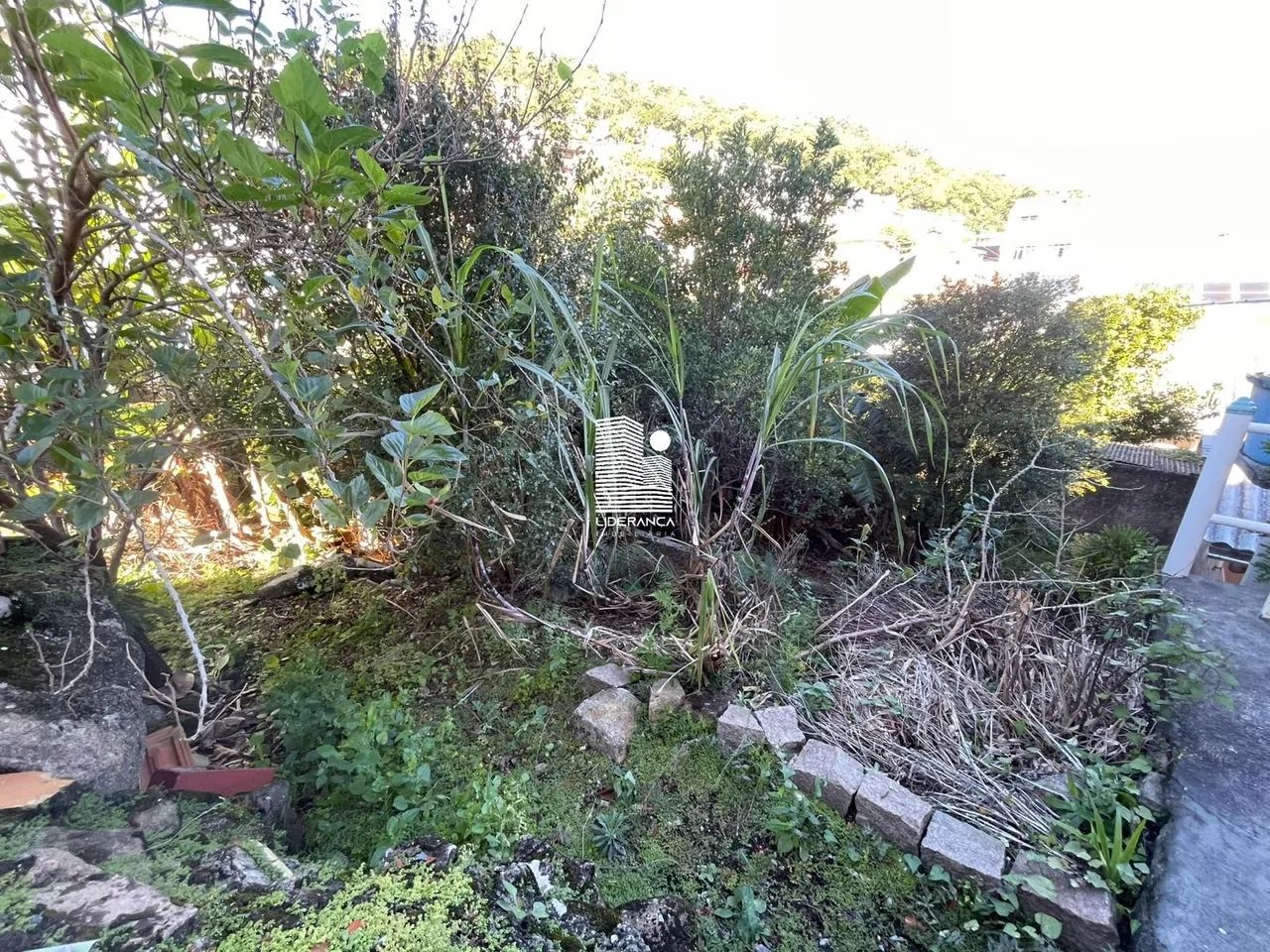 Terreno, Costeira do Pirajubaá - Foto 5