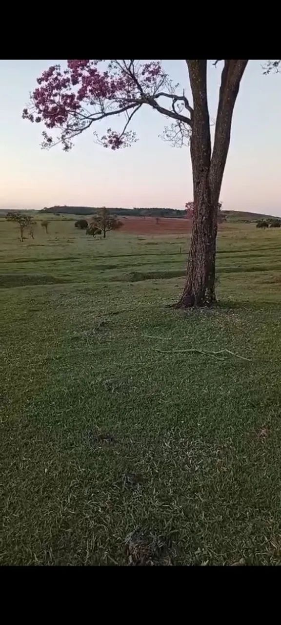Terreno a venda em colorado  - Foto 3