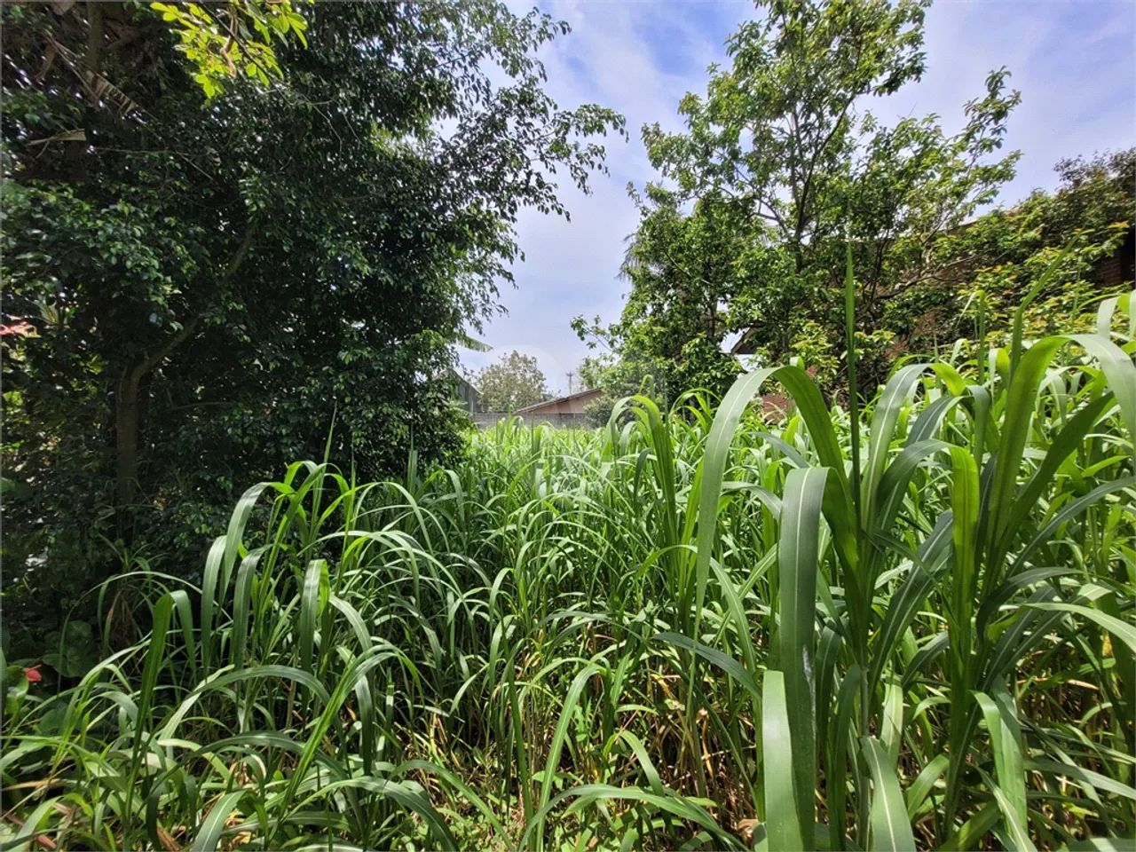 Terreno à venda em Interlagos - SP - Foto 4