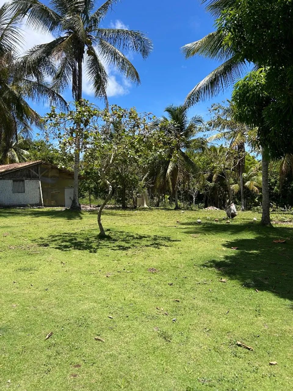 Fazenda 77ha